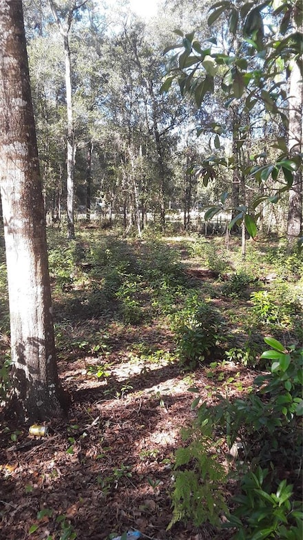 22733 NE 114th Ave, Fort Mc Coy, FL 32134