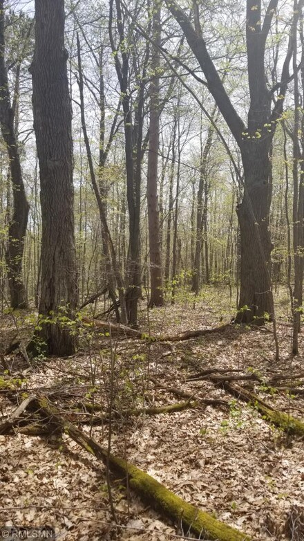 Lot 3 Camp Lake Rd, Garrison, MN 56450