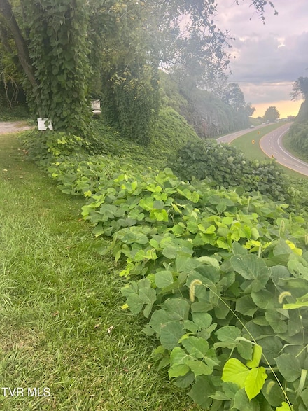 0 Burke St, Castlewood, VA 24224