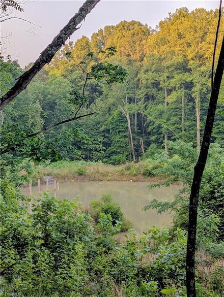 00 Johnson Creek Rd, Ararat, VA 24053