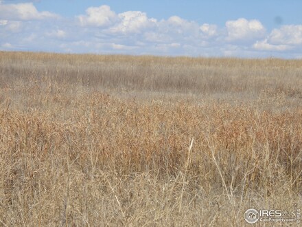 0 D Rd Unit 930156, Brush, CO 80723
