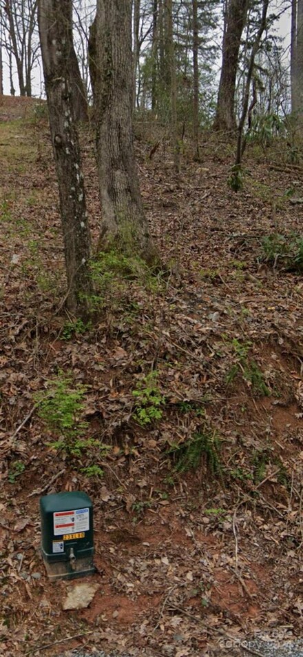 TBD James St, Brevard, NC 28712