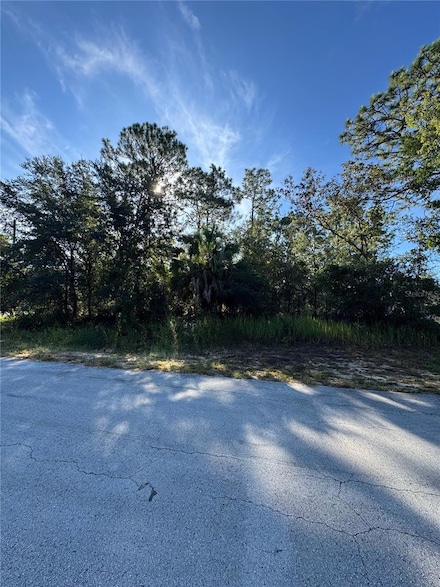 TBD Hemlock Loop Dr, Silver Springs Shores, FL 34472