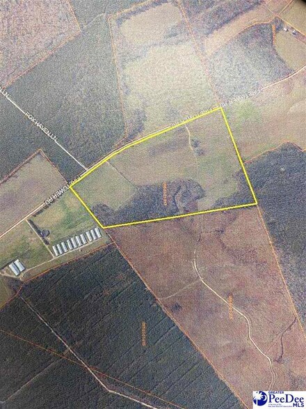 TBD Fire Tower Rd, Blenheim, SC 29516