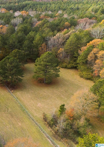 1537 Campbell Loop Rd, Mount Olive, AL 35117