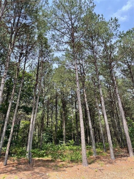 110 Timberland Gate, Broken Bow, OK 74728