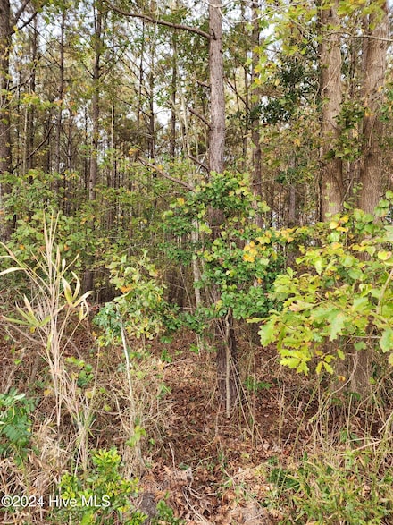 23.57 Ac Piney Woods Rd, Willard, NC 28478