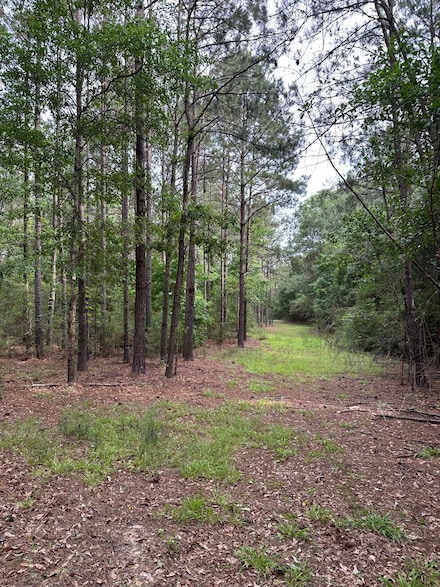 County Highway 7, Repton, AL 36475