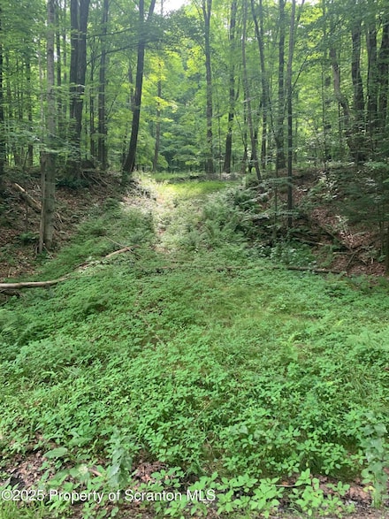 0 Butterfield Rd, New Milford, PA 18847