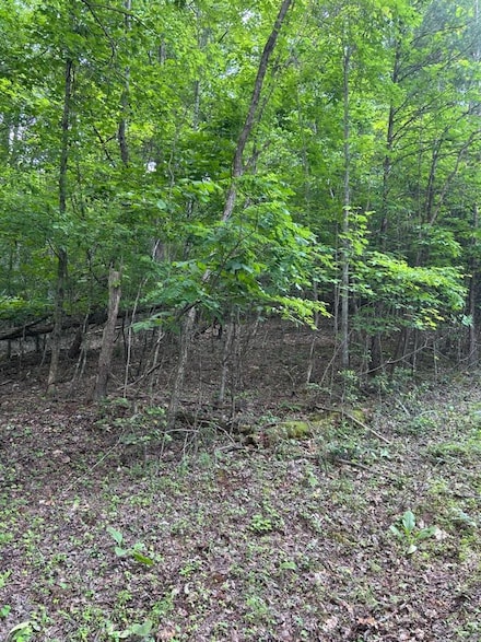 1 White Eagle Rd, Hiawassee, GA 30546