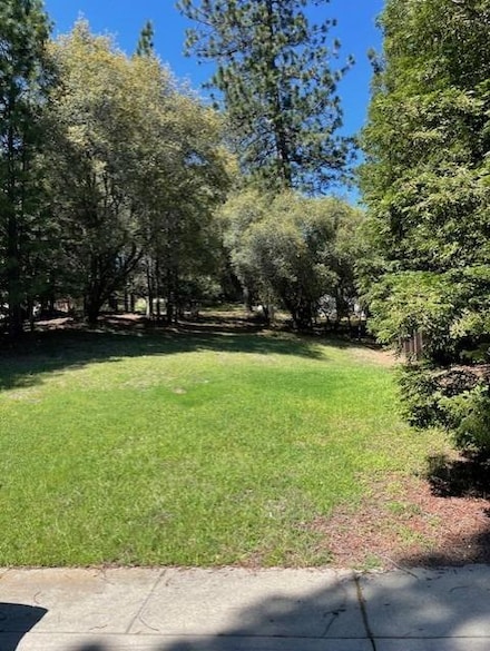 1094 Estey Ct, Placerville, CA 95667
