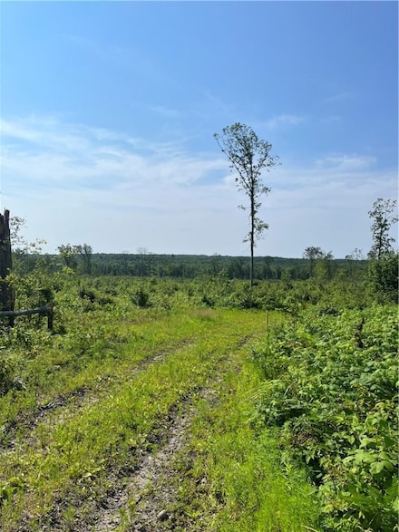 24405 Stoney Lonesome Rd, Boyd, WI 54726
