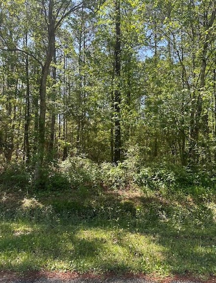 Lot 43 E Lamar St, Bay St. Louis, MS 39520
