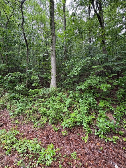 0 Highway 27 Unit 1513626, Whitwell, TN 37397