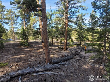 2310 Fox Acres Dr E, Red Feather Lakes, CO 80545