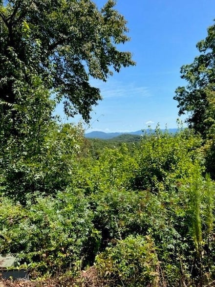 LT 15 Red Tail Ln, Blairsville, GA 30512