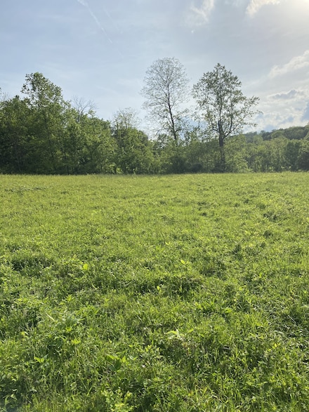 0 Ables Ln, Pulaski, TN 38478