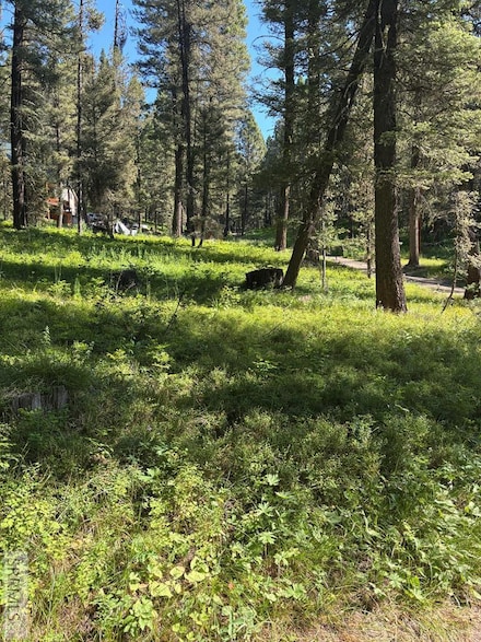 4121 Spruce Dr, Island Park, ID 83429