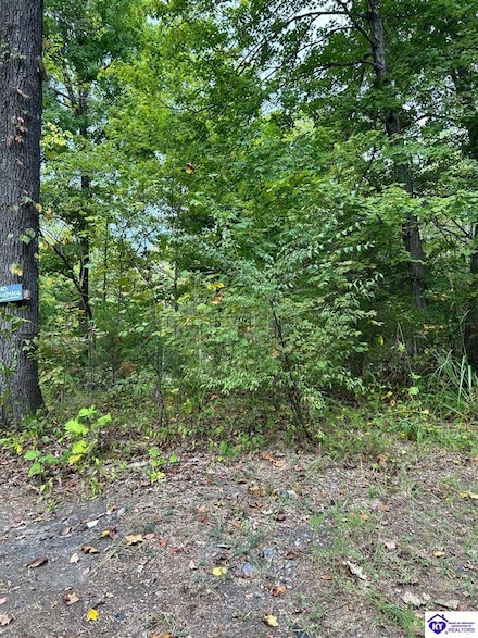 0 Big Chief Ln Unit LOT 10-11 14, Rineyville, KY 40162