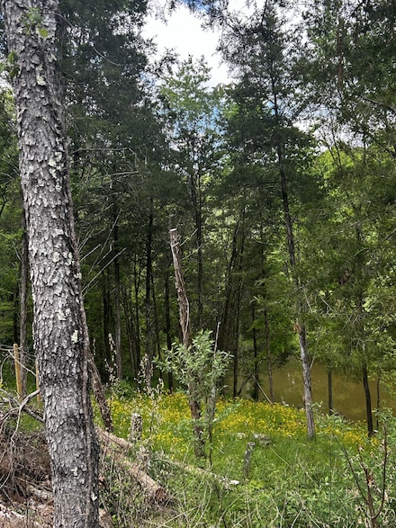 Lot Trailwood Lake Rd, Bagdad, KY 40003