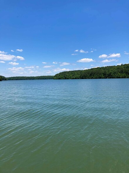 72 Hickory Ln, Russellville, AL 35653