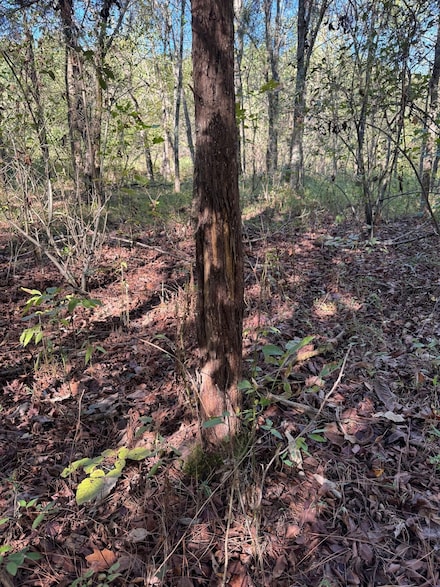 0 Ashby Rd Unit 25224298, Centertown, KY 42328