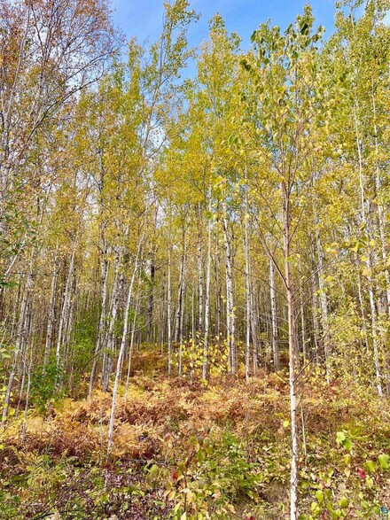 #11 Mountain Trail, Grand Marais, MN 55604