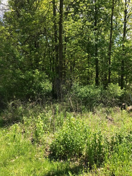 406 N State St, Gobles, MI 49055