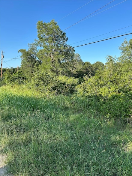 TBD Smith Roads, Bastrop, TX 78602