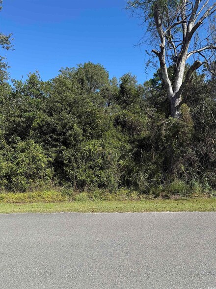 TBD Plum Tree Ln, Conway, SC 29526