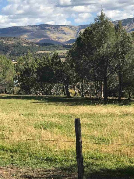 15716 58 7/10 Rd, Collbran, CO 81624