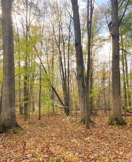 9473 E Broomfield Rd, Mt. Pleasant, MI 48858