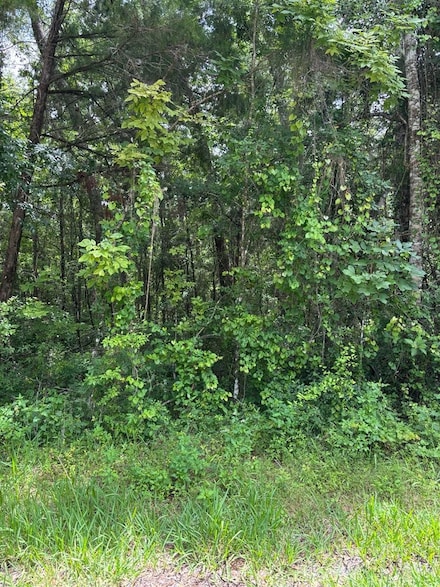 0 SW 49 Ct, Webster, FL 33597