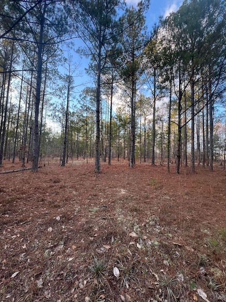 0 Sandfort Rd, Seale, AL 36875
