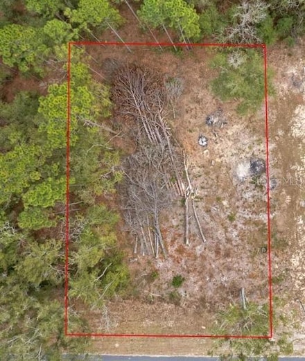 0 NE State Road 121 Unit MFRGC531867, Williston, FL 32696