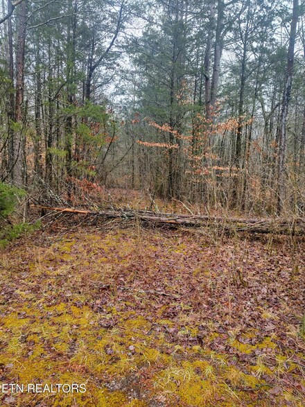 0 Rd, Clinton, TN 37716
