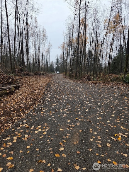 0 xxx H St, Blaine, WA 98230