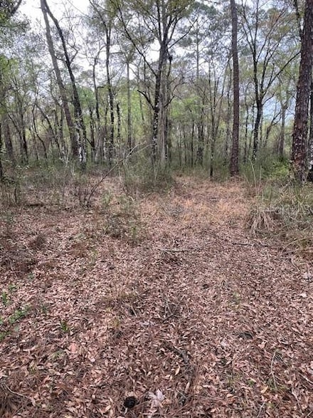 00 Packingham Dr, Webster, FL 33597