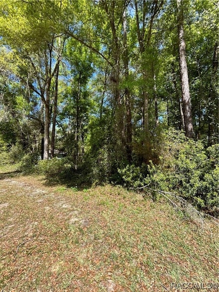 1327 W Alexander Dr, Citrus Springs, FL 34434