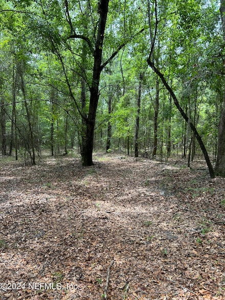 000 NE 211 Dr, Earleton, FL 32631
