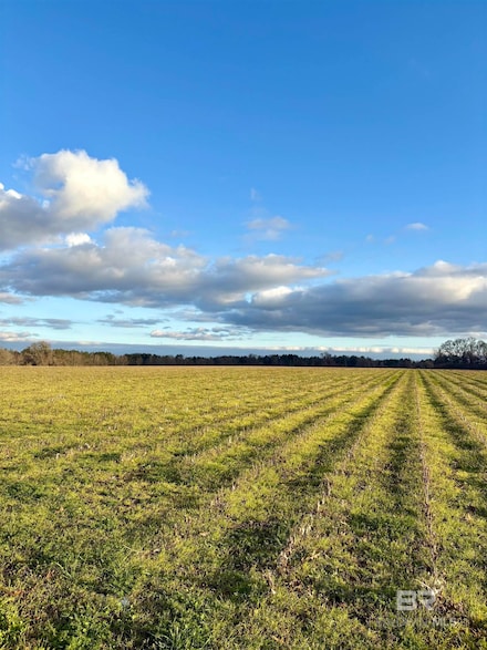 0 James Brooks Rd, McCullough, AL 36502