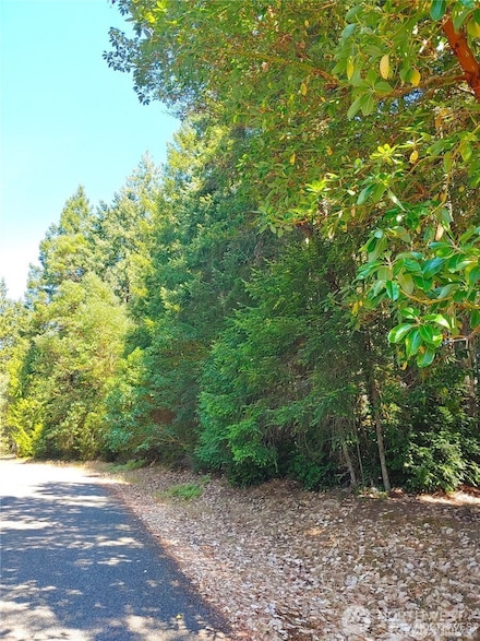 12611 Silver Dr, Anderson Island, WA 98303