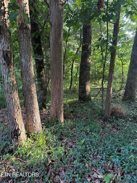 Lot 8 Catoosa Woods Dr, Lancing, TN 37770