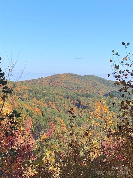 3913 High Peak Terrace Rd, Valdese, NC 28690