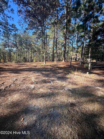 185 Bel Air Dr, Pinehurst, NC 28374