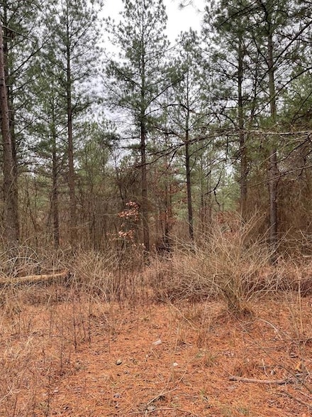 700 Timber Creek Trails South Xl, Broken Bow, OK 74728
