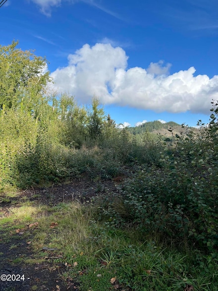 930 NE Highway 20, Toledo, OR 97391