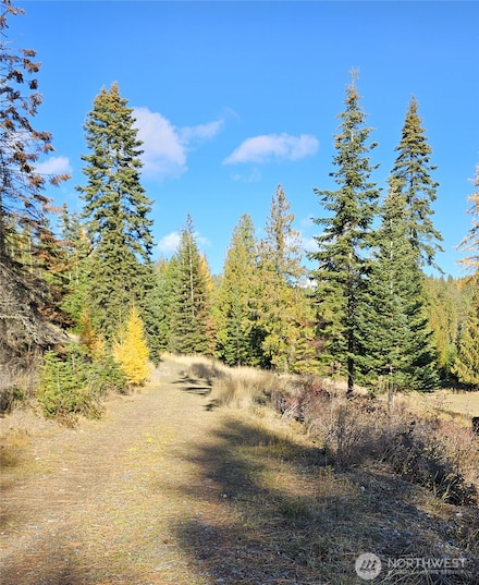 717 B Finley Gulch Rd, Colville, WA 99114