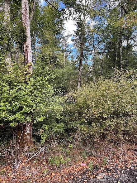 1371 E Grapeview Loop Rd, Grapeview, WA 98546