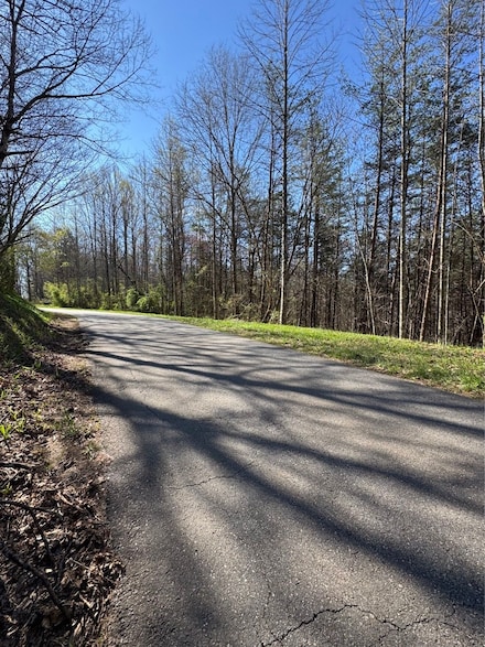 0 Seabolt Stancil Rd Unit 23277875, Dahlonega, GA 30533